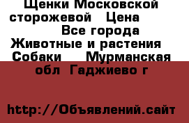 Щенки Московской сторожевой › Цена ­ 35 000 - Все города Животные и растения » Собаки   . Мурманская обл.,Гаджиево г.